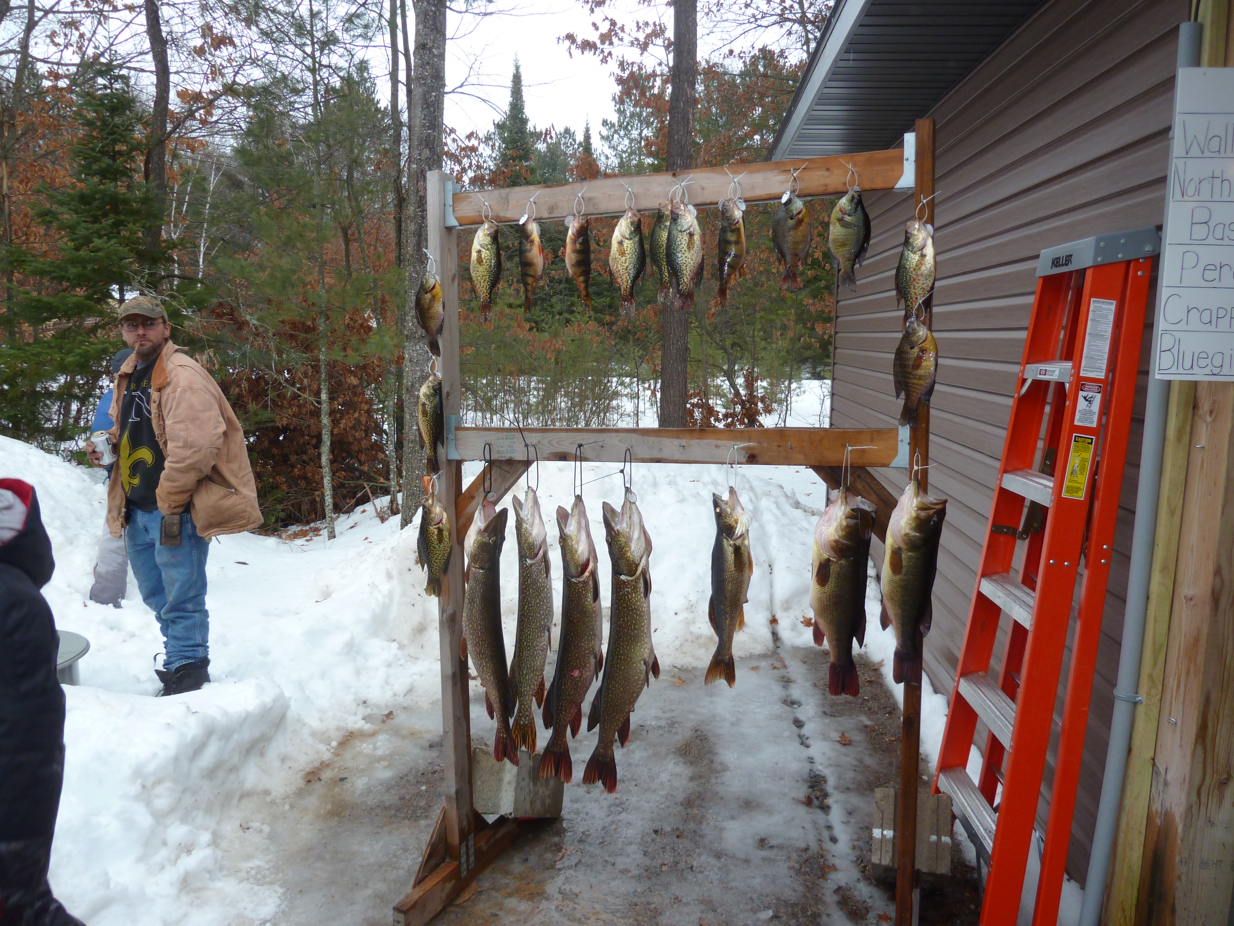 A wooden display rack showcases a fresh catch of fish hanging on hooks, including northern pike, bass, and panfish. Snow surrounds the area, and a person in winter gear stands nearby, highlighting the success of a winter fishing outing in a forested setting.