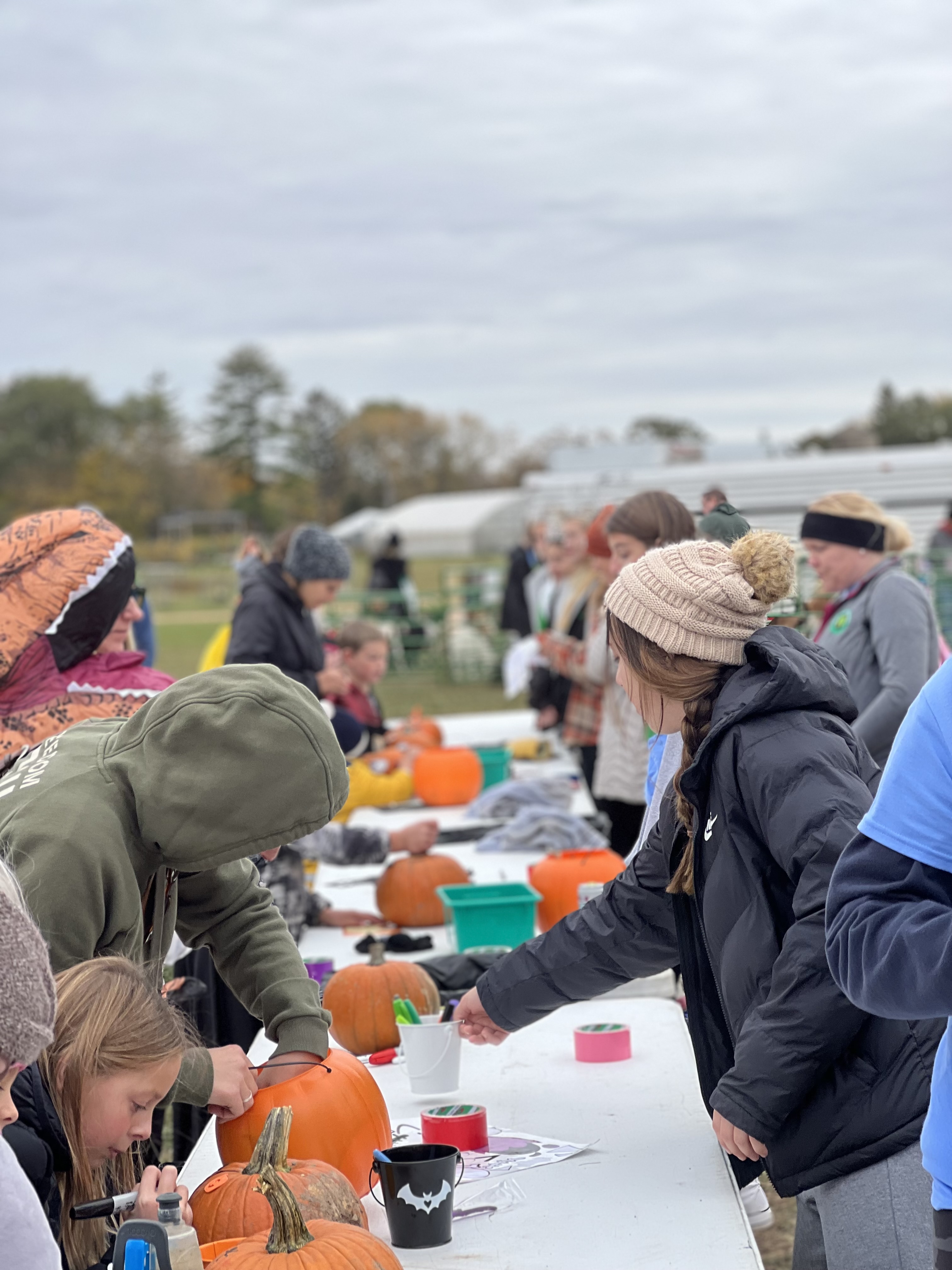 Pumpkin Decorating
