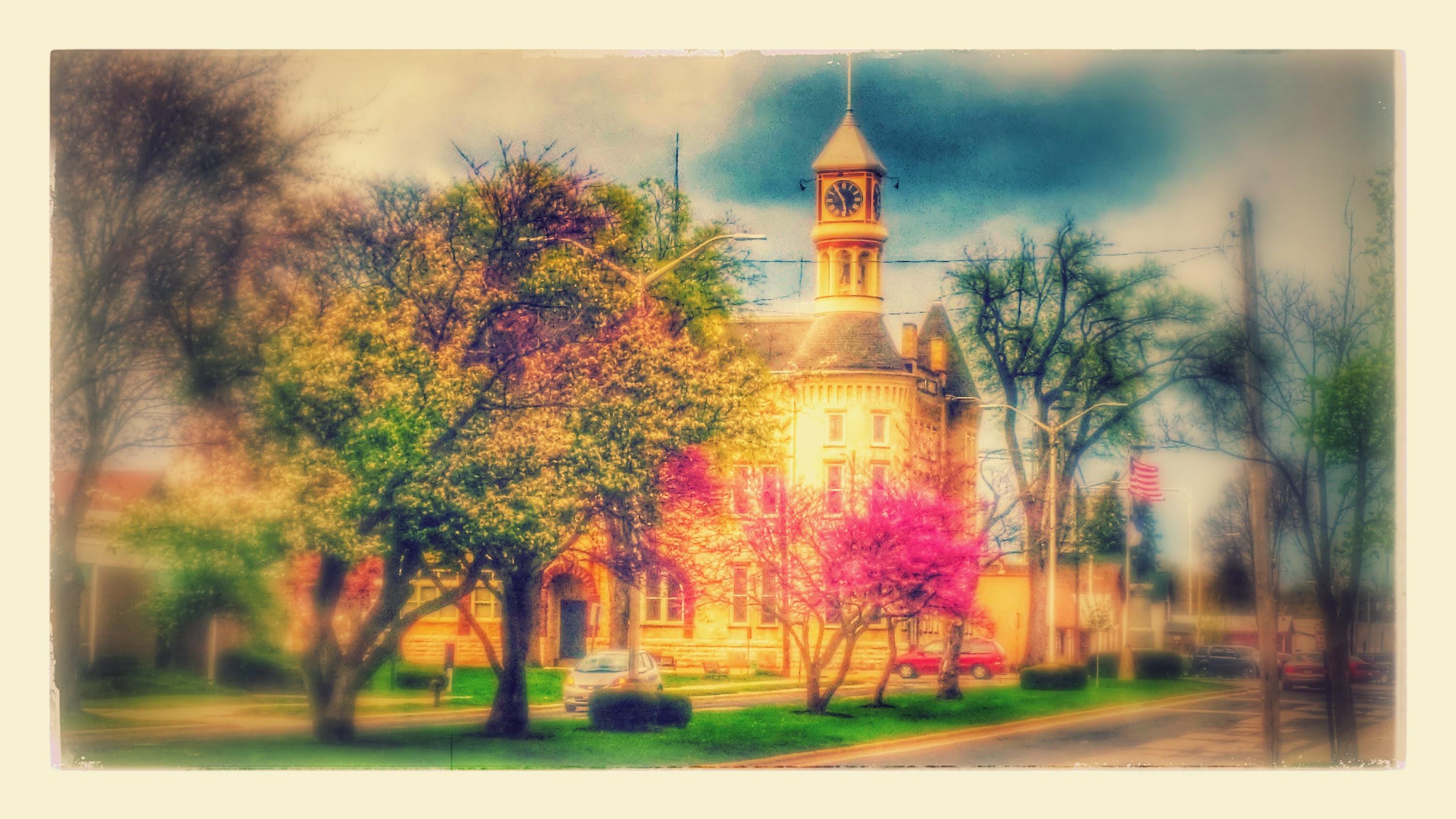 We love the Redbud Trees