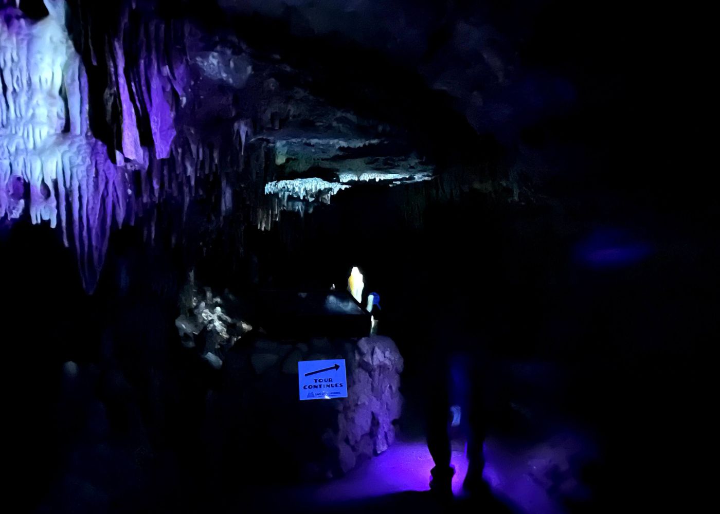 Glowing Rocks in Total Darkness of Cave of the Mounds