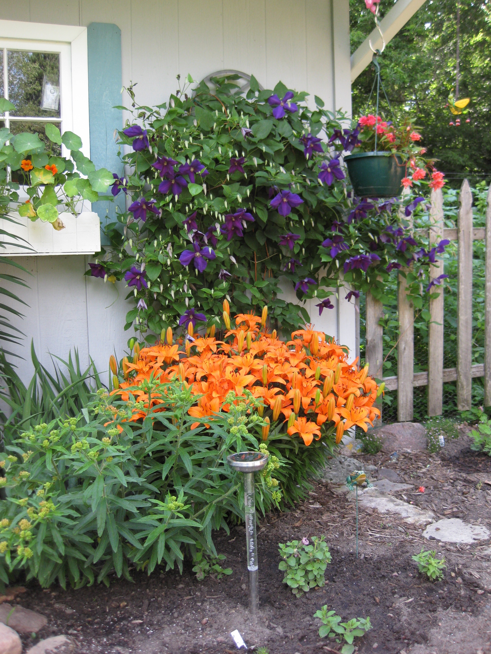 Garden in Waupaca area.