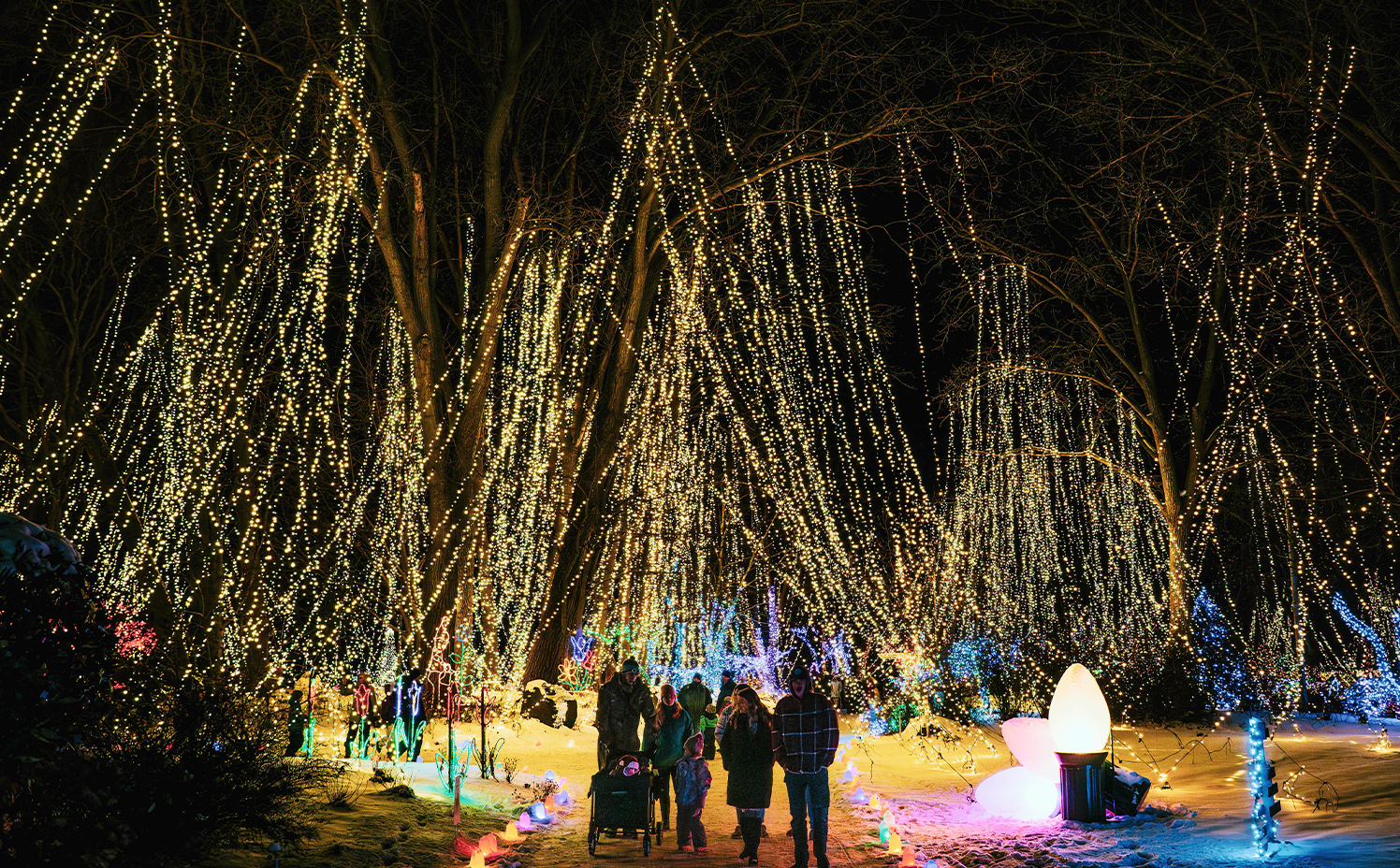 Rotary Botanical Gardens Light Show | Travel Wisconsin