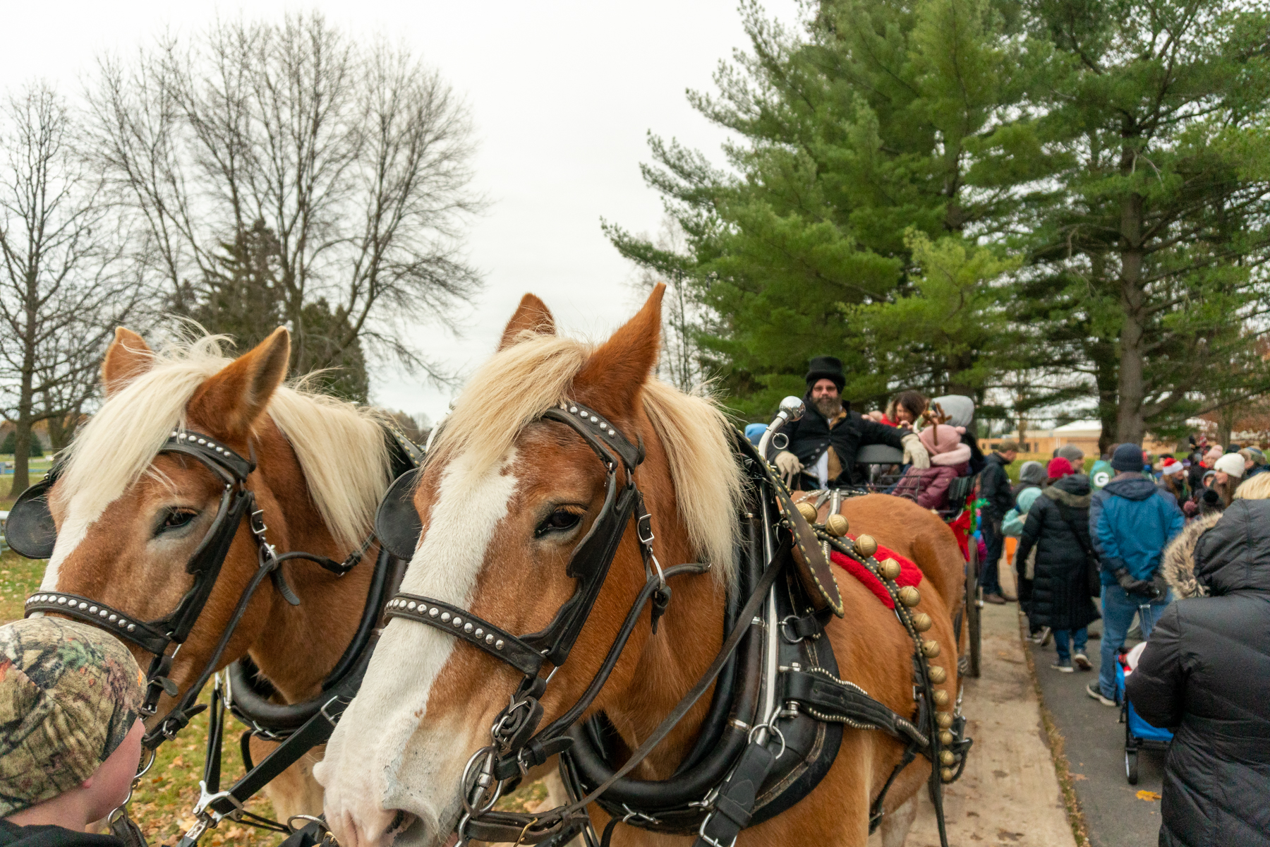 Germantown Christmas Festival Travel Wisconsin
