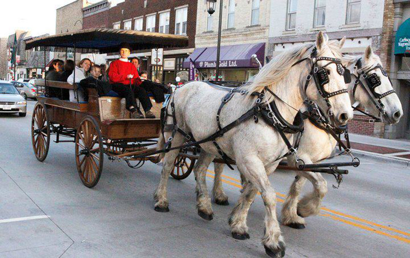 Free carriage rides through downtown are a feature of Spring Gallery Night.