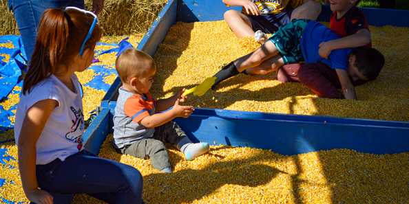 Kids love playing in the giant corn box provided by the River Falls FFA and FFA alumni at the River Falls Bacon Bash.