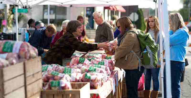 Home-grown local organic produce.