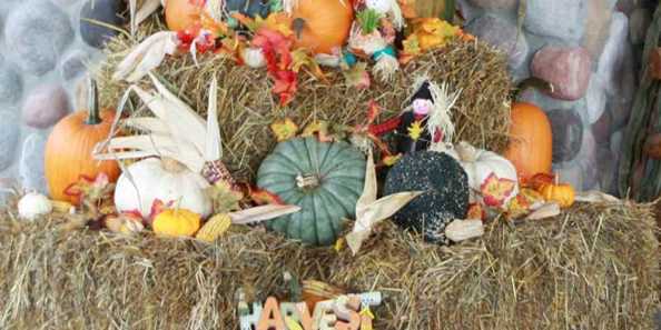 Siren businesses highlight the fall bounty as a part of their Harvestfest decor.