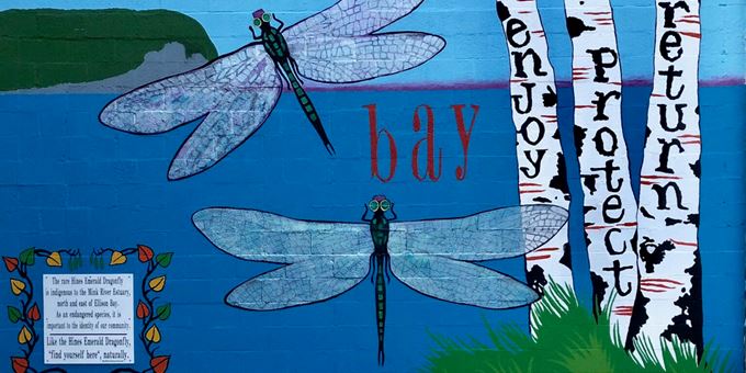 Ellison Bay Beautification Project&#39;s dragonfly mural on William Caxton Ltd Bookstore in Ellison Bay: Enjoy, Protect, Return!
