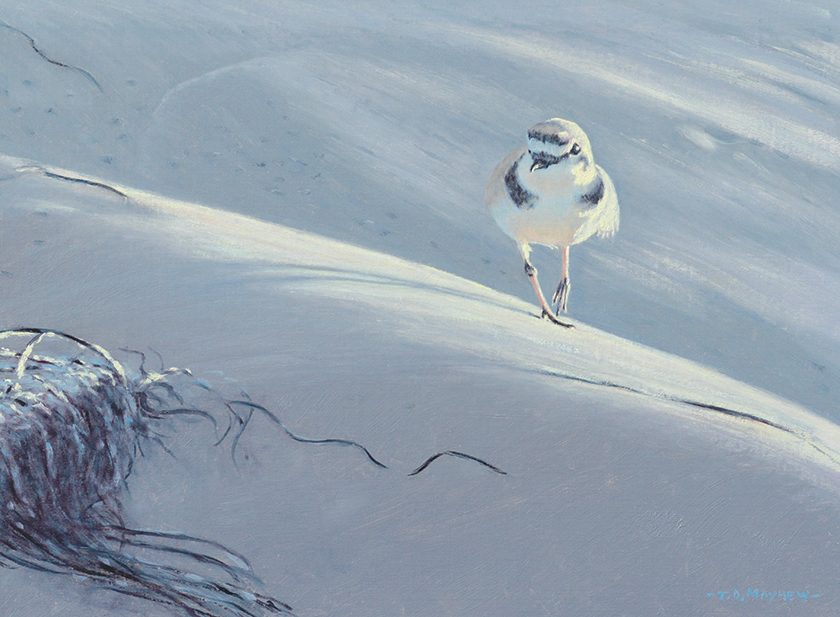 Timothy David Mayhew, "Dune," 2014, oil on Belgian linen on panel