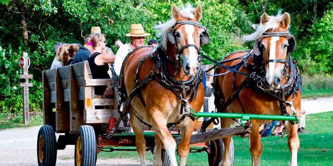 Guests can enjoy a horse drawn wagon ride throughout the German farms area at Old World Wisconsin.