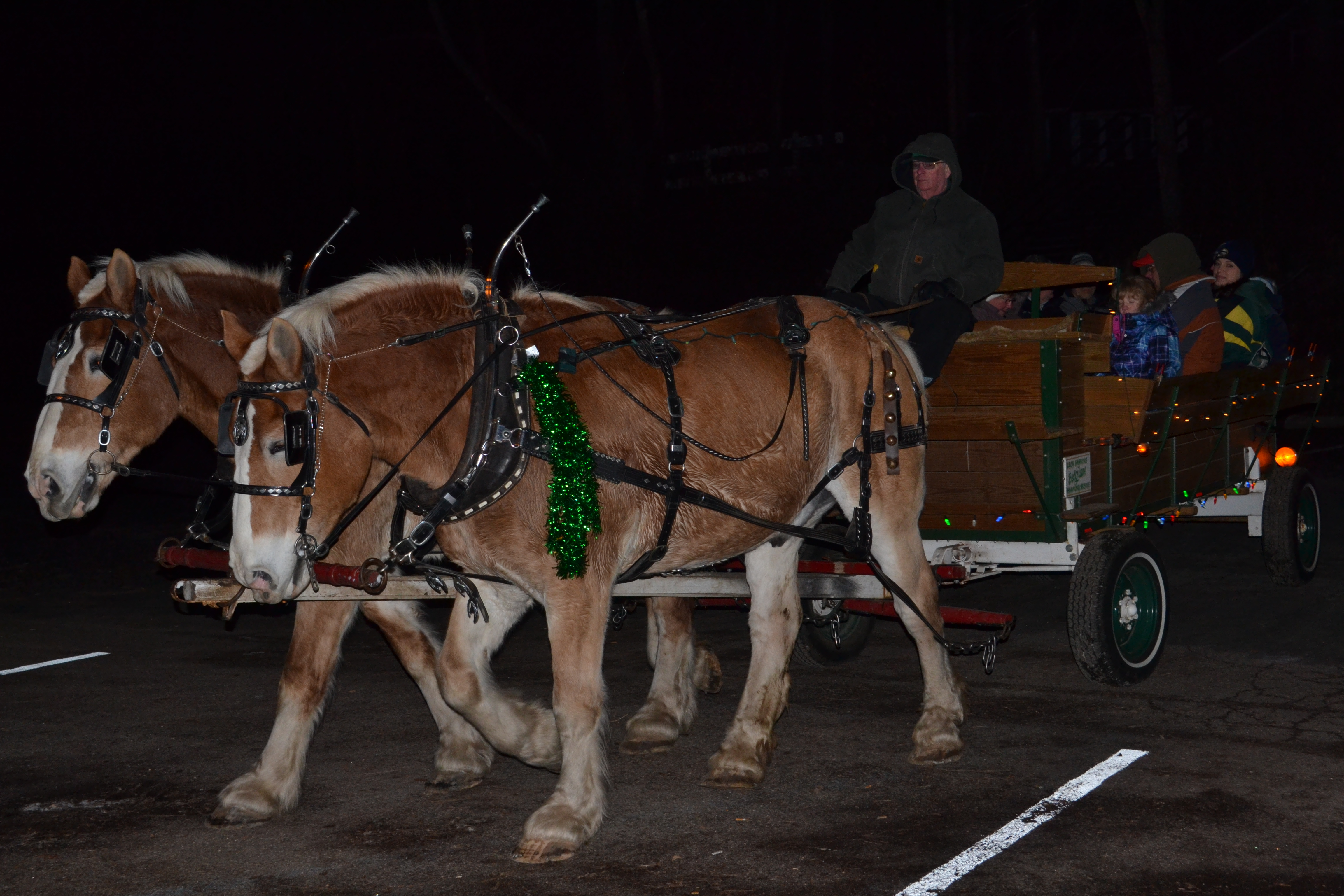 Photo courtesy of River Falls Journal