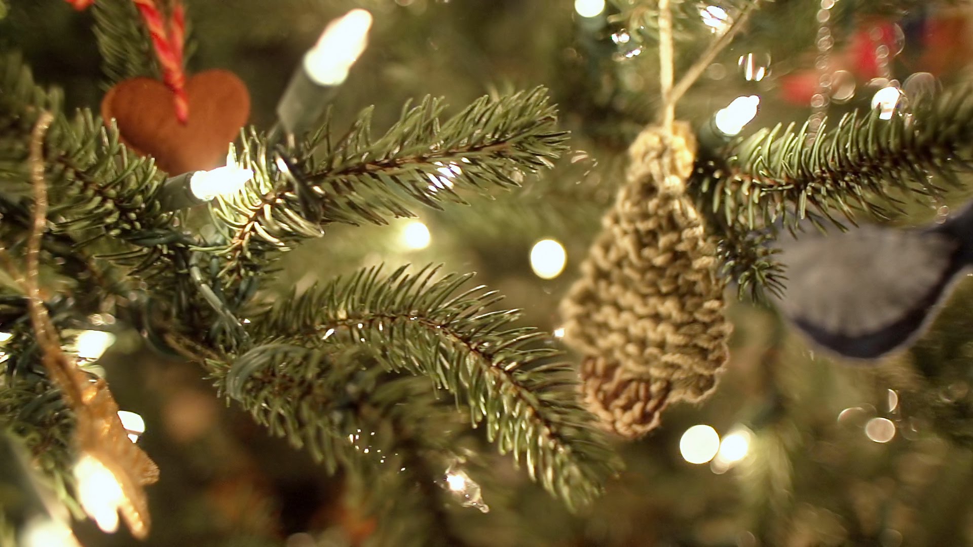 Johnson Creek Holiday Tree Lighting Travel Wisconsin
