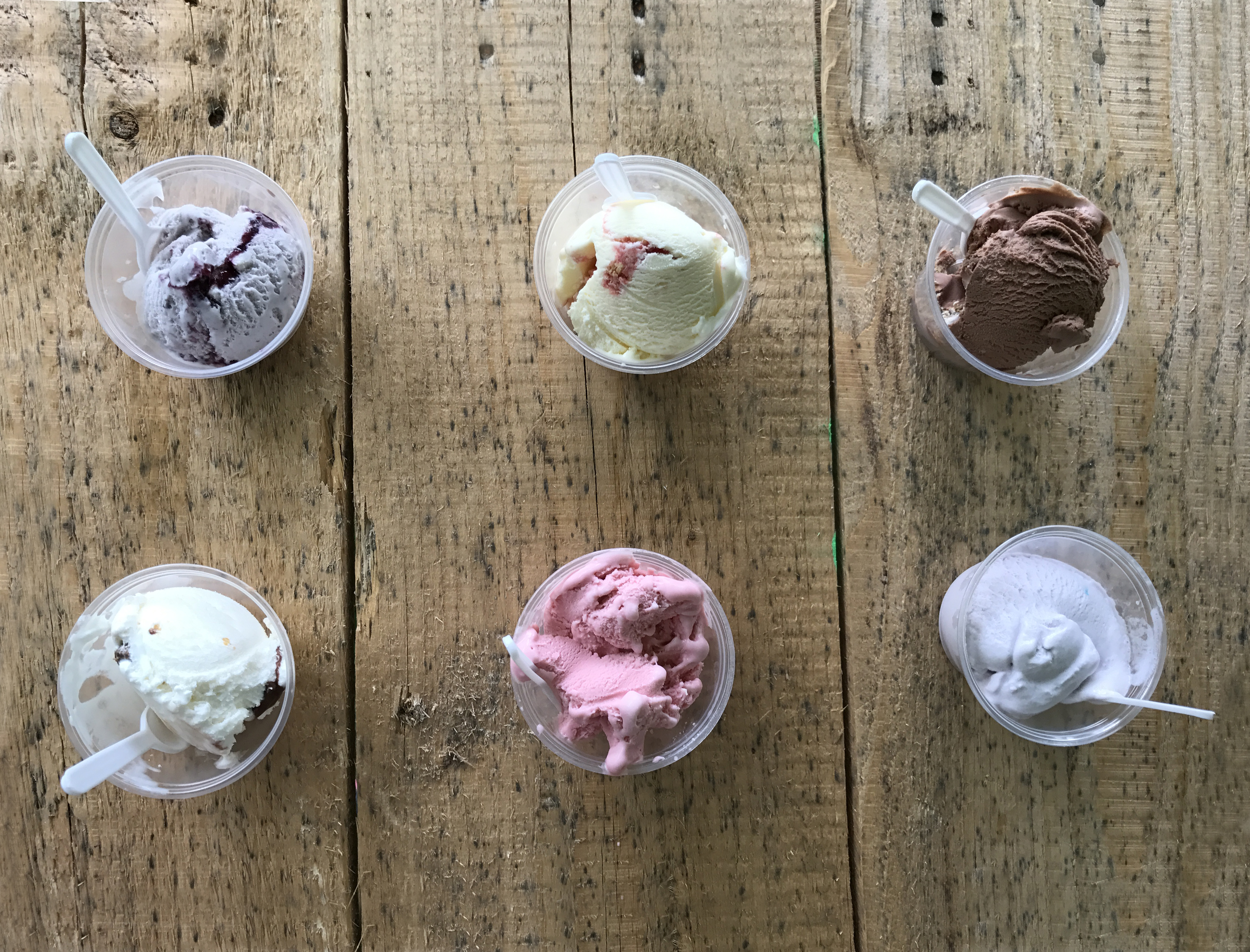 2024 Ellsworth Cheese Curd Festival