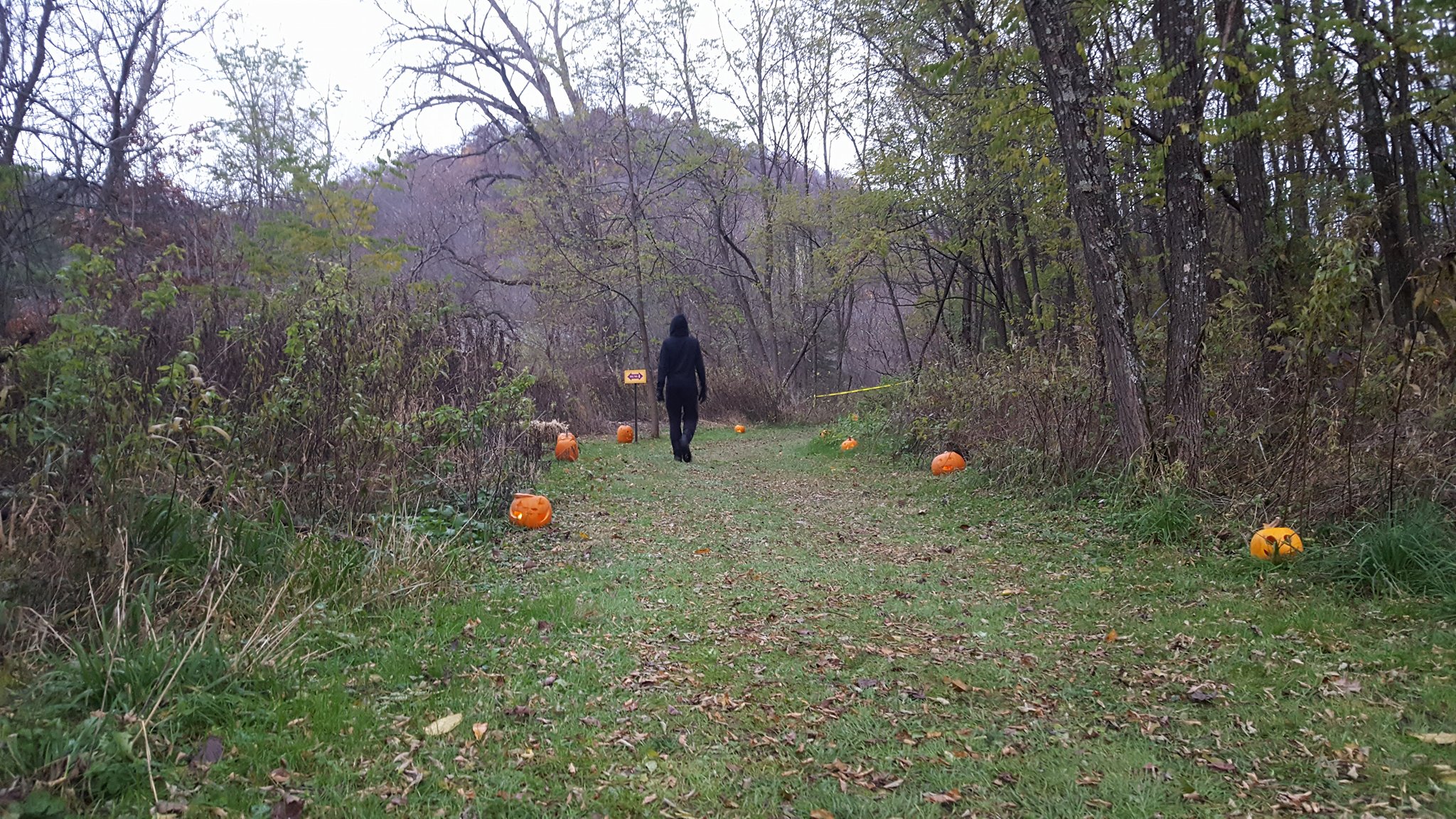 Our scenic woods make for excellent trails to hike on, spooky creatures or not!