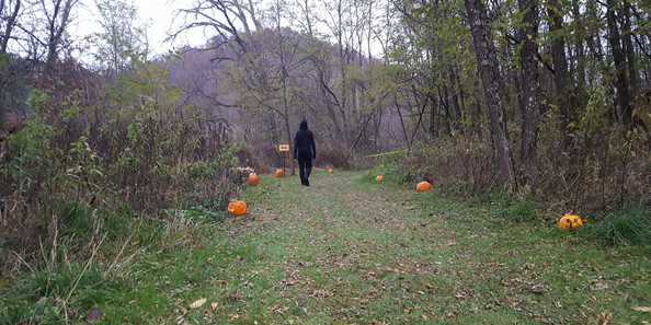 Our scenic woods make for excellent trails to hike on, spooky creatures or not!