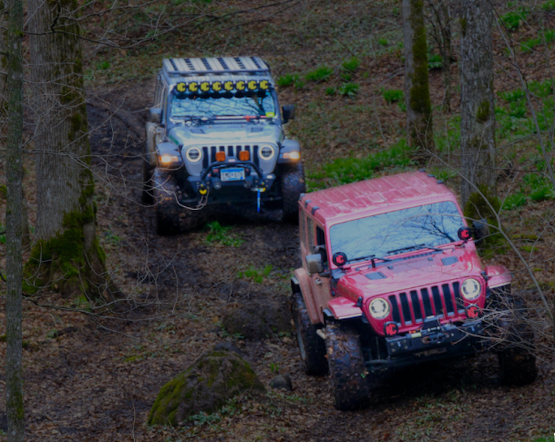 Two off-road Jeeps navigate a muddy woodland trail in Langlade County, their tires gripping the terrain as they power through the dense forest—an adventurous ride through the heart of Wisconsin’s County of Trails.