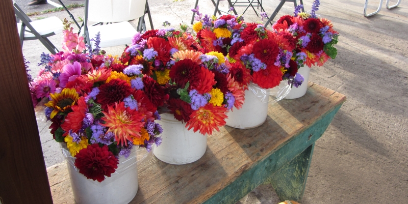 Beautiful flowers for sale at Farmers Market