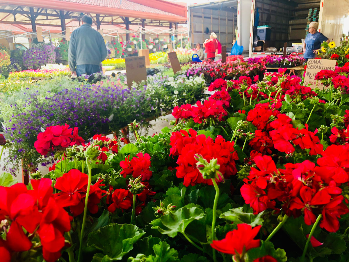West Allis Farmers Market Travel Wisconsin