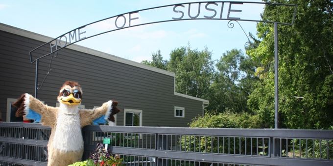 Welcome to the Home of Susie the Duck, come help her celebrate her special Day!