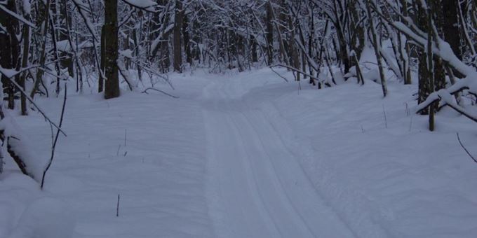 Gordon Bubolz Nature Preserve winter trail