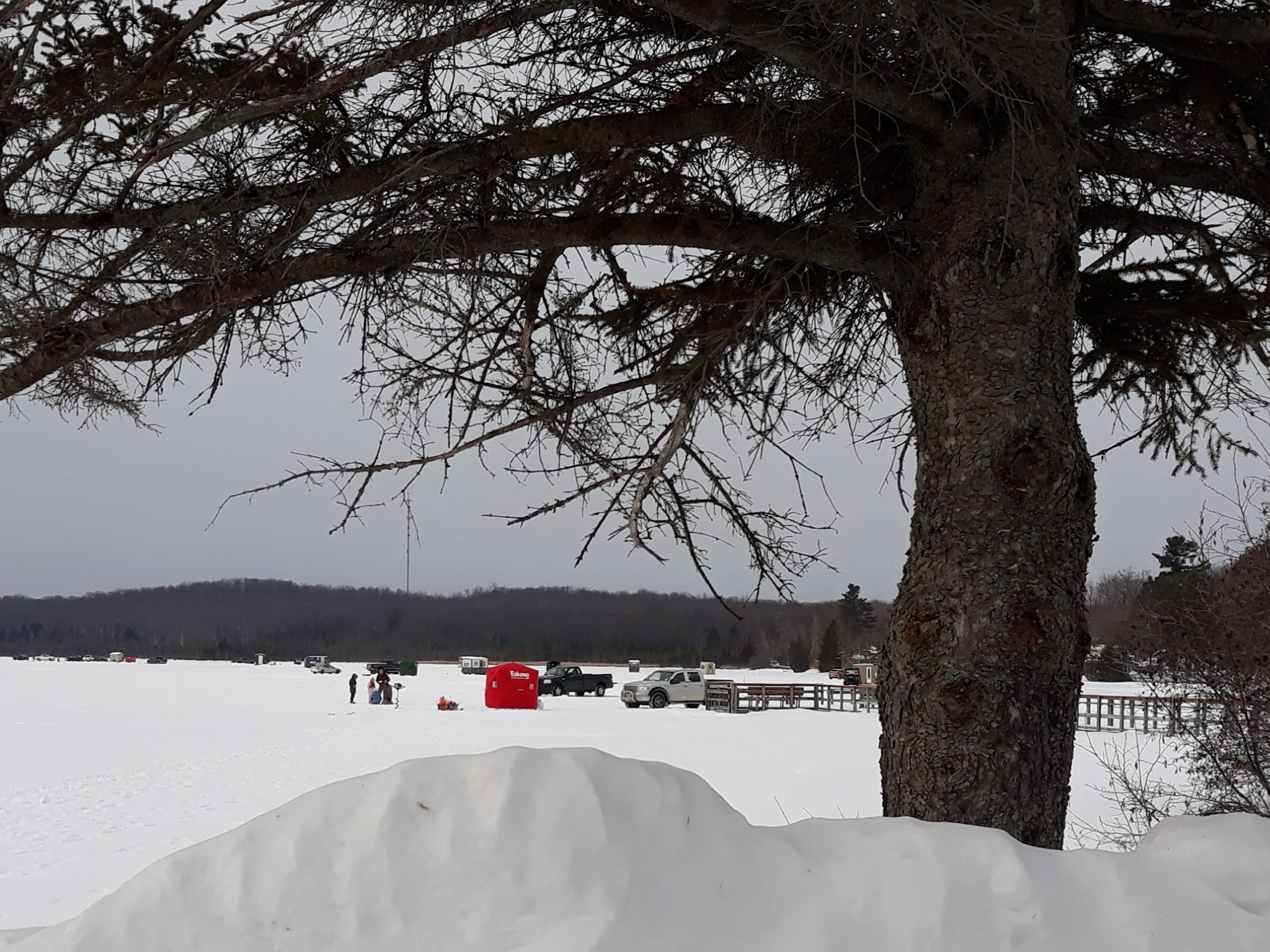 A quiet winter scene captures a frozen lake dotted with ice fishing shelters, vehicles, and small groups of people. Snow blankets the ground, and a large pine tree in the foreground frames the view. The overcast sky and surrounding hills add to the serene, cold-weather atmosphere.