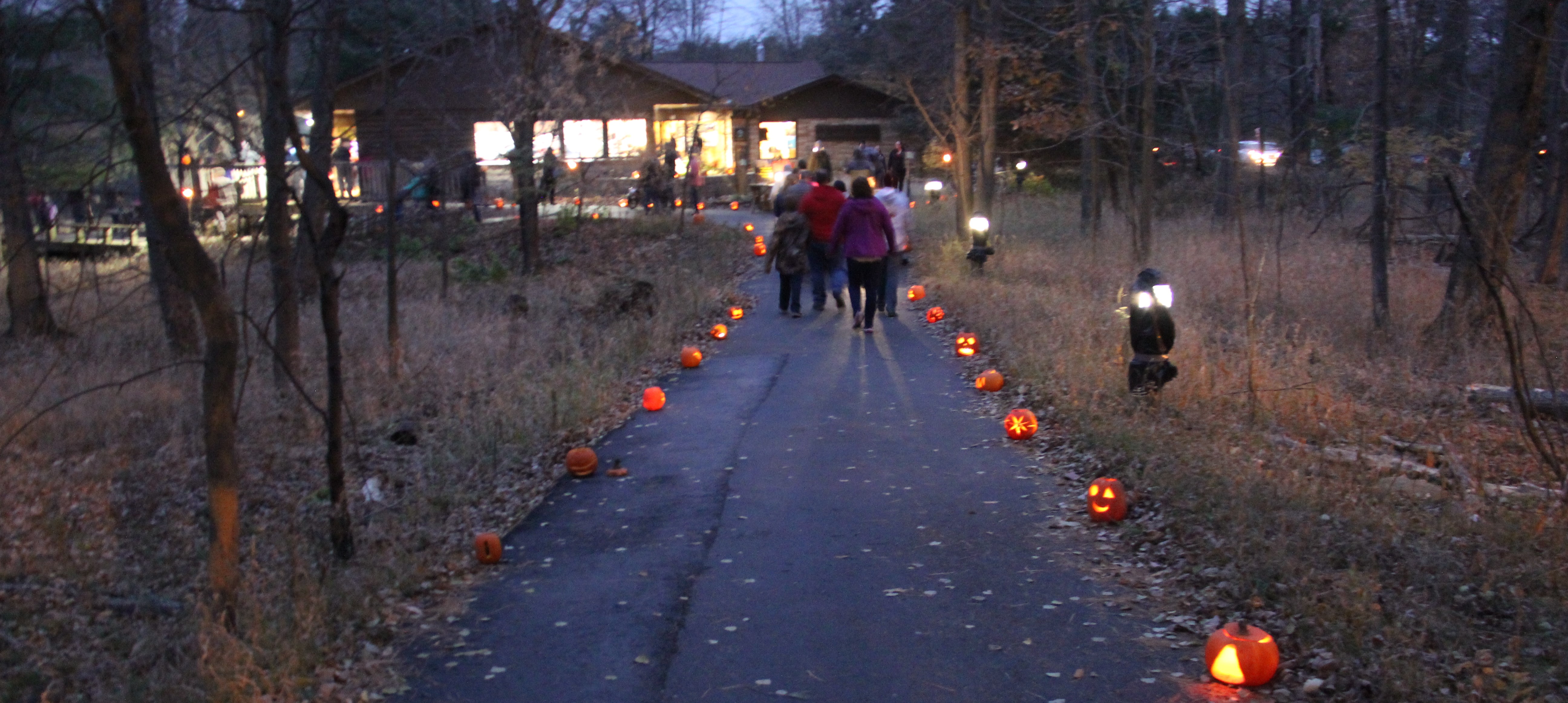 pumpkins lighting the path through Schmeeckle.