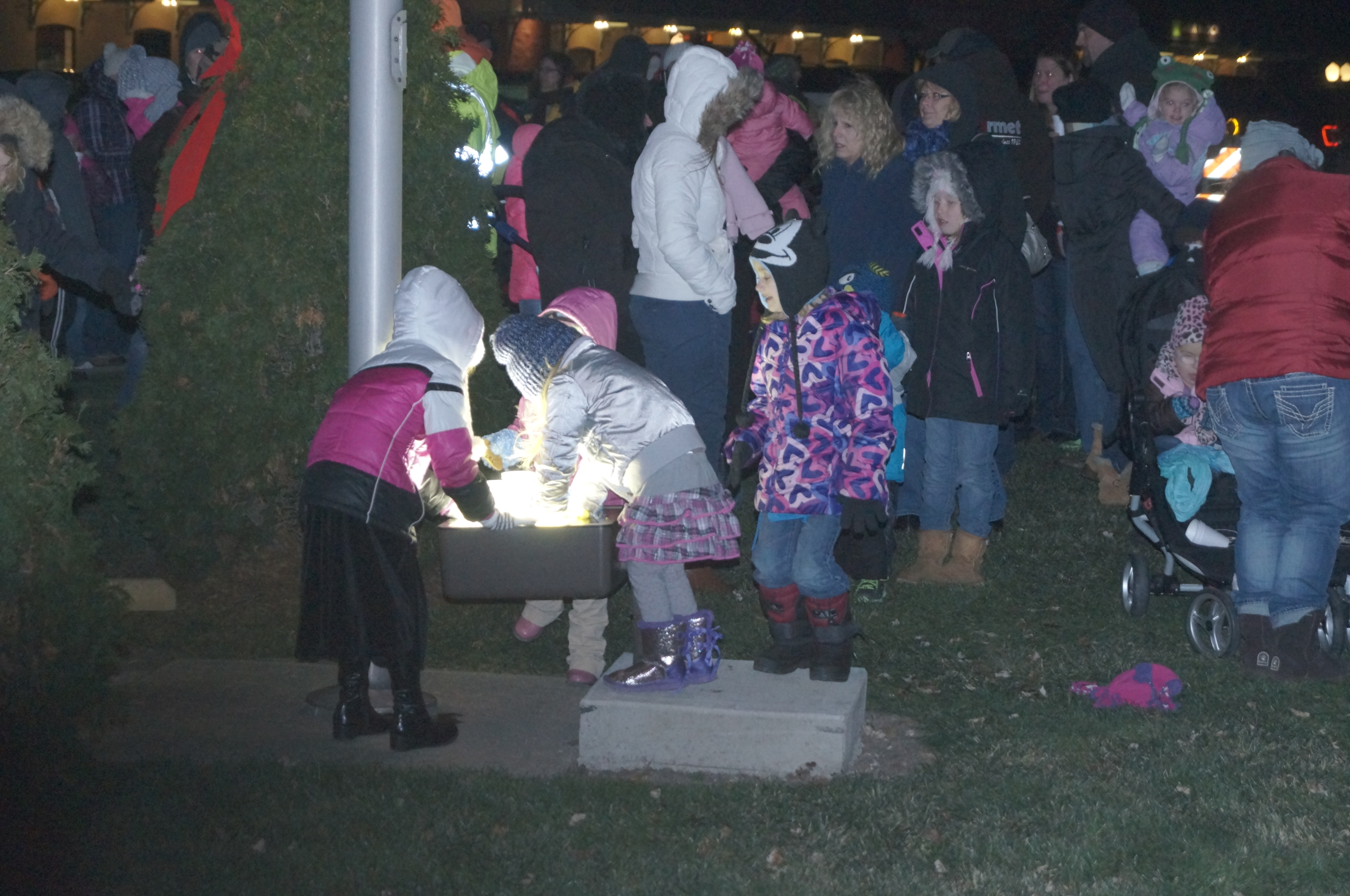 Village Tree Lighting