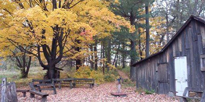 With the foliage in their vibrant fall colors, the Fall Festival is the perfect opportunity to visit the Leopold Shack and Farm.