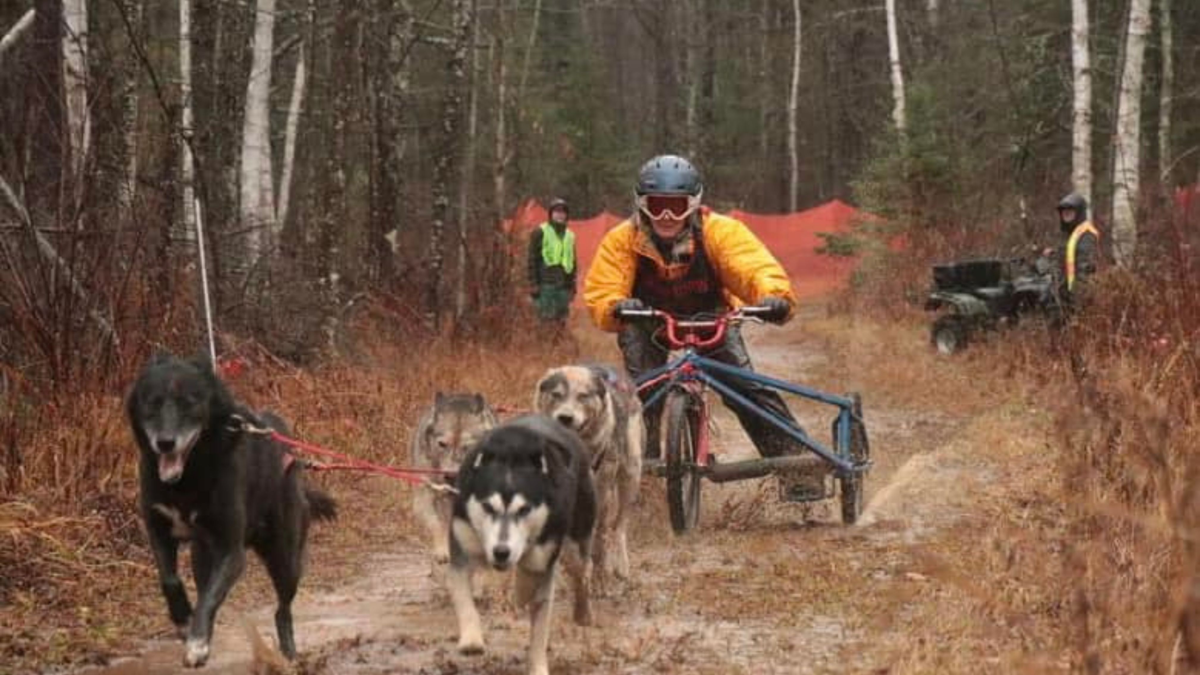 The dogs are kicking up mud and having a blast at the Redpaw Dirty Dog Dryland Derby in Pearson, WI.