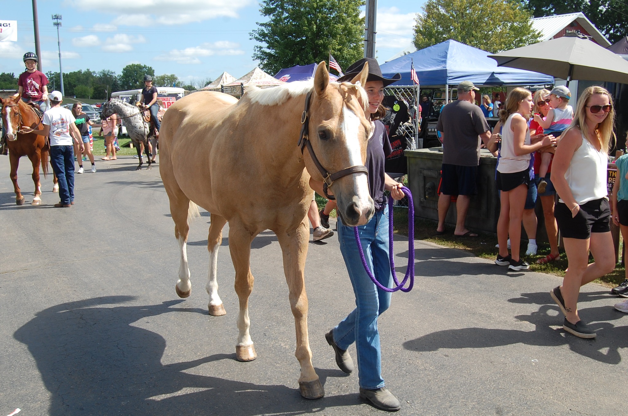 Kenosha County Fair Travel Wisconsin