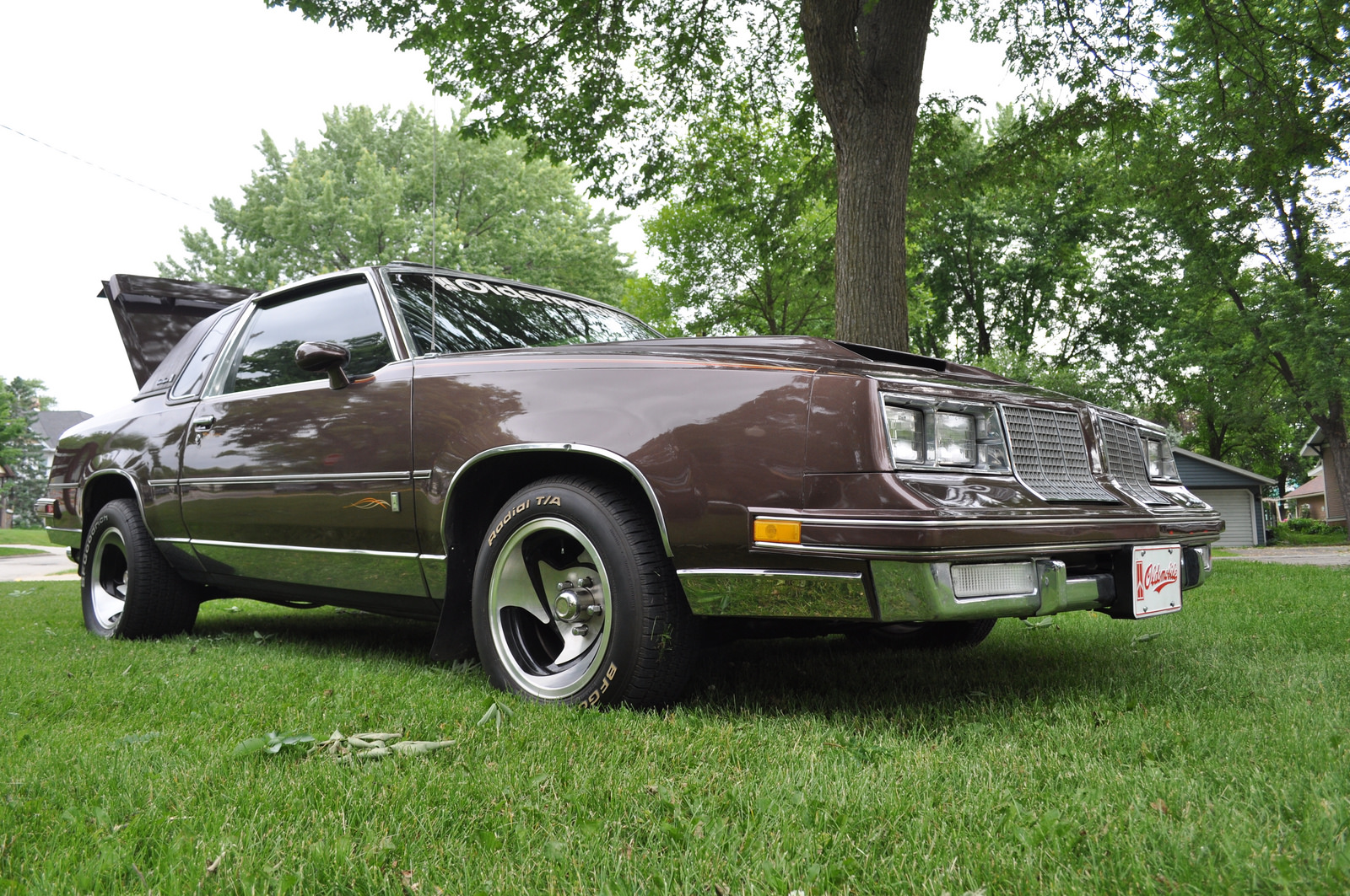 Polished to perfection at the Swan City Car Show