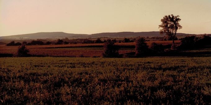 Landscape of Blue Mounds in the 1990s before developement