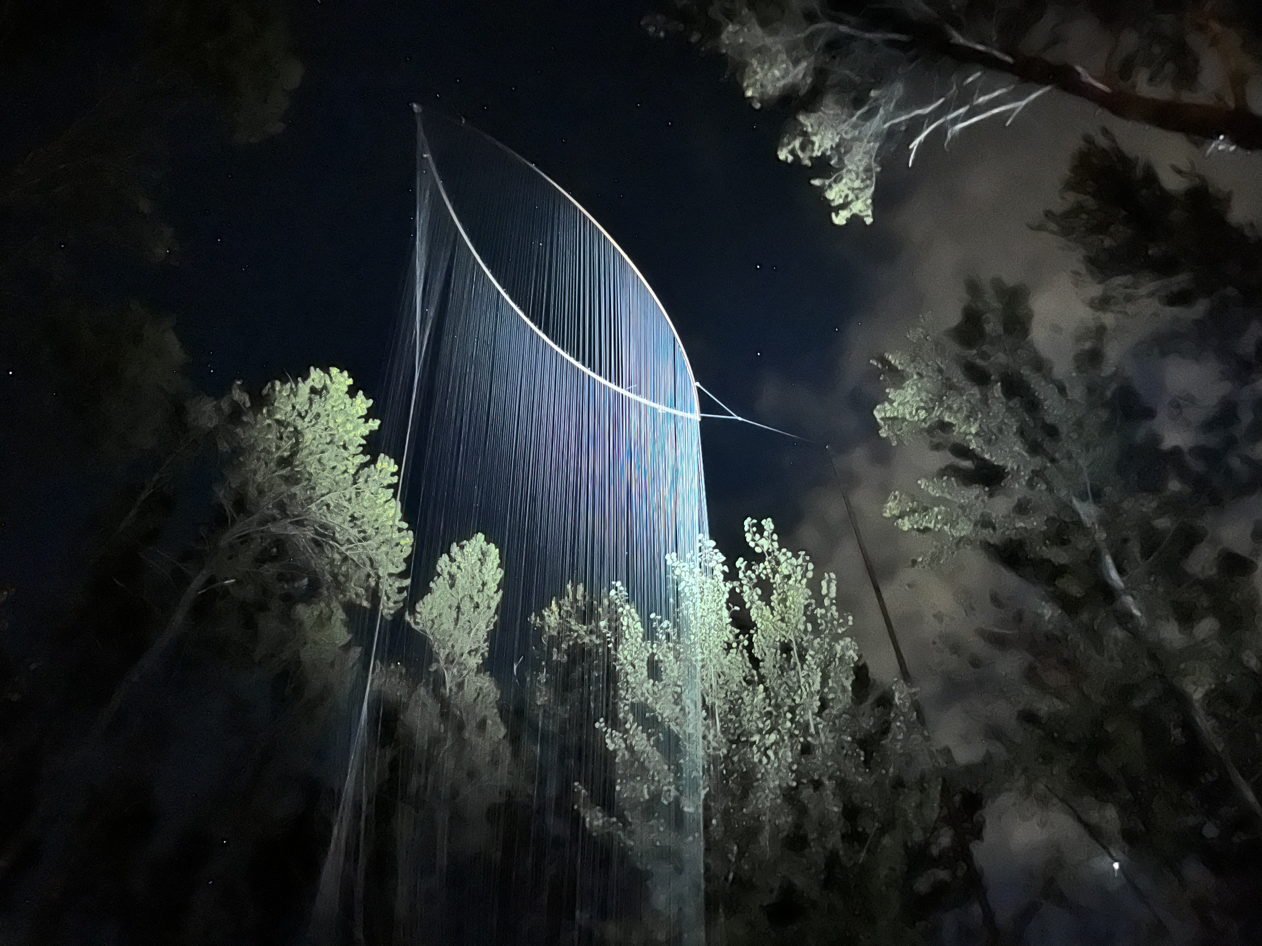 LIT at the Sculpture Park