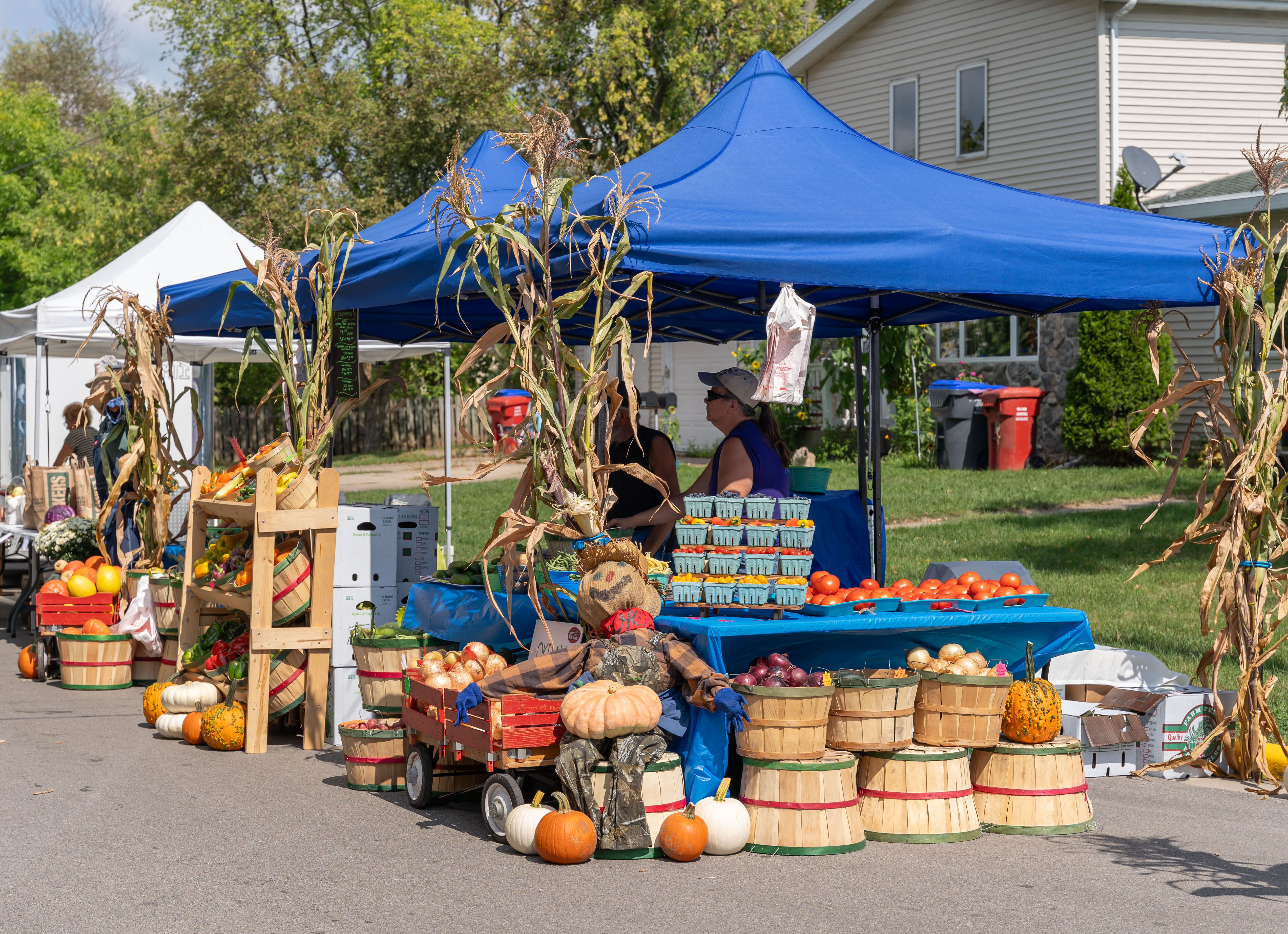 Pick from a variety of locally grown produce