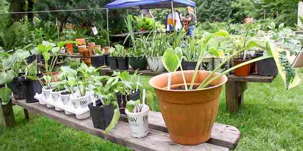 The garden art and plant sale will help spruce up your own garden.