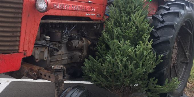 Holiday Tree leaning on vintage red tractor at the Johnson Creek Historical Society
