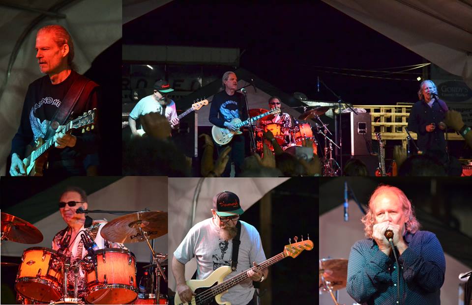 Canned Heat 2014-Photo by Tom Daniel