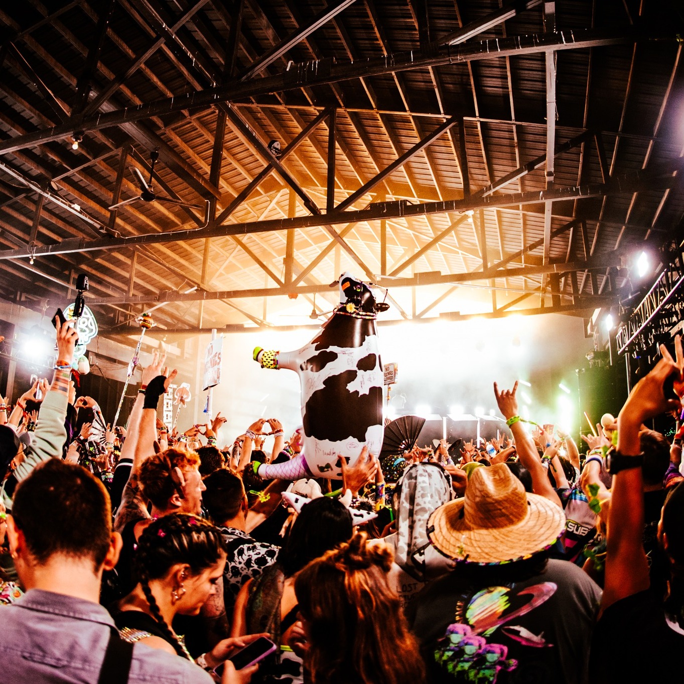 Force Fields, Cadott, WI