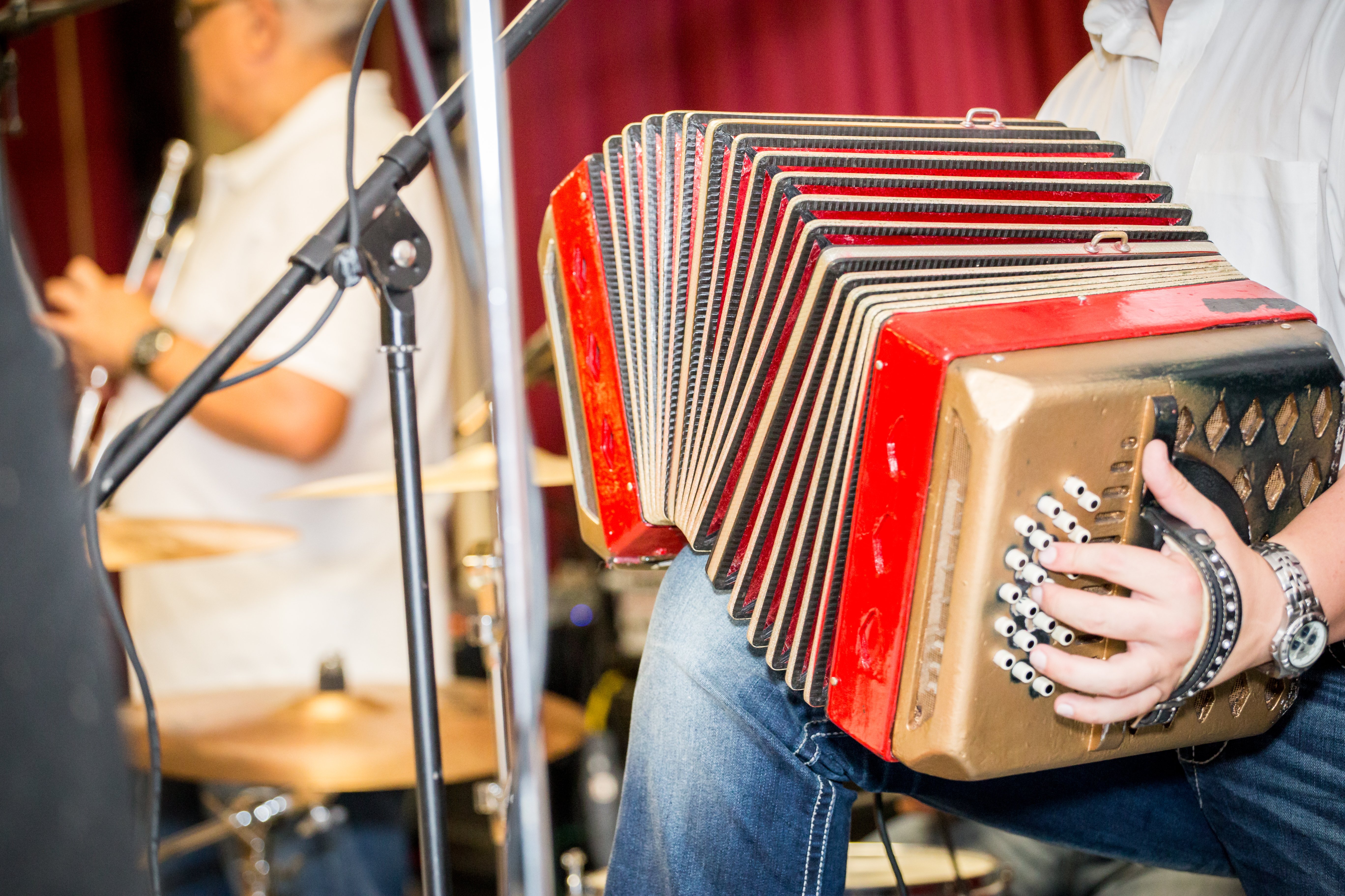 Dozynki Downtown fall festival polka music with accordian.