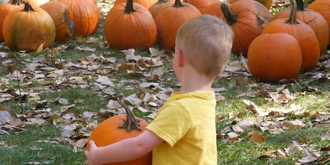 Picking out a pumpkin at the Great Pumpkin Train at the National Railroad Museum.