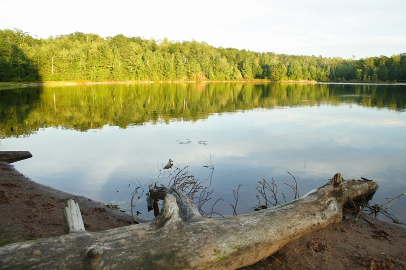 Chequamegon National Forest