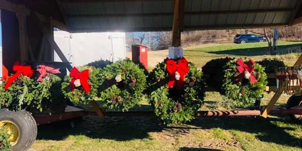 Freshly made wreaths - great for gifts, doors, windows