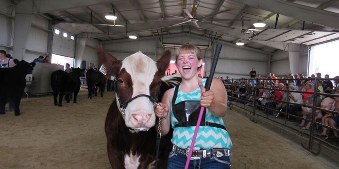 Beef Cattle Show at Jefferson County Fair