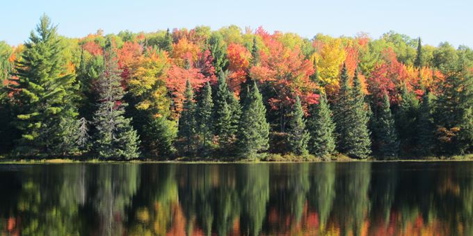Enjoy the beauty of late autumn as you travel Presque Isle and area town roads.