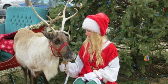 One of Santa&#39;s elves and reindeer.