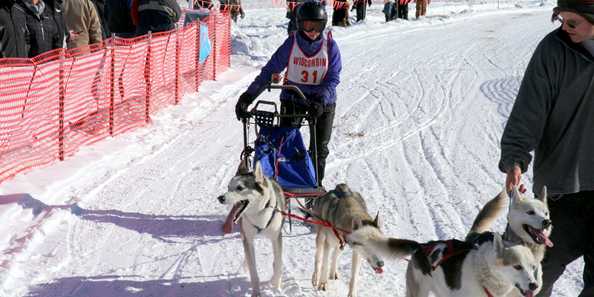 Kids 4 dog racer at Doty Dog Days of Winter Sled Dog Race in 2018.
