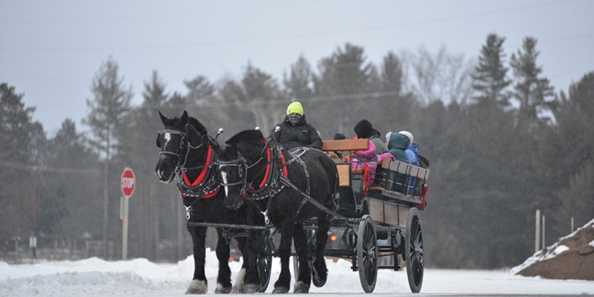 Horse-drawn Wagon Rides