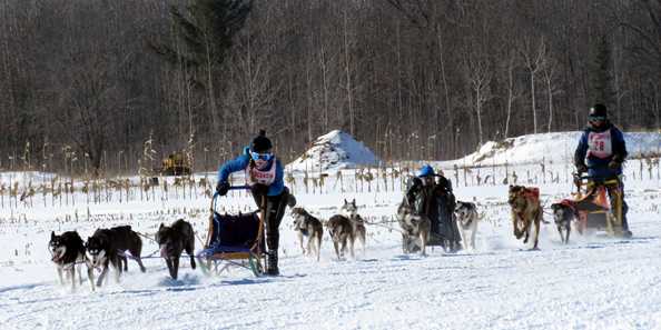 The sled dog teams competing at the finish line at the 2018 Doty Dog Days of Winter.