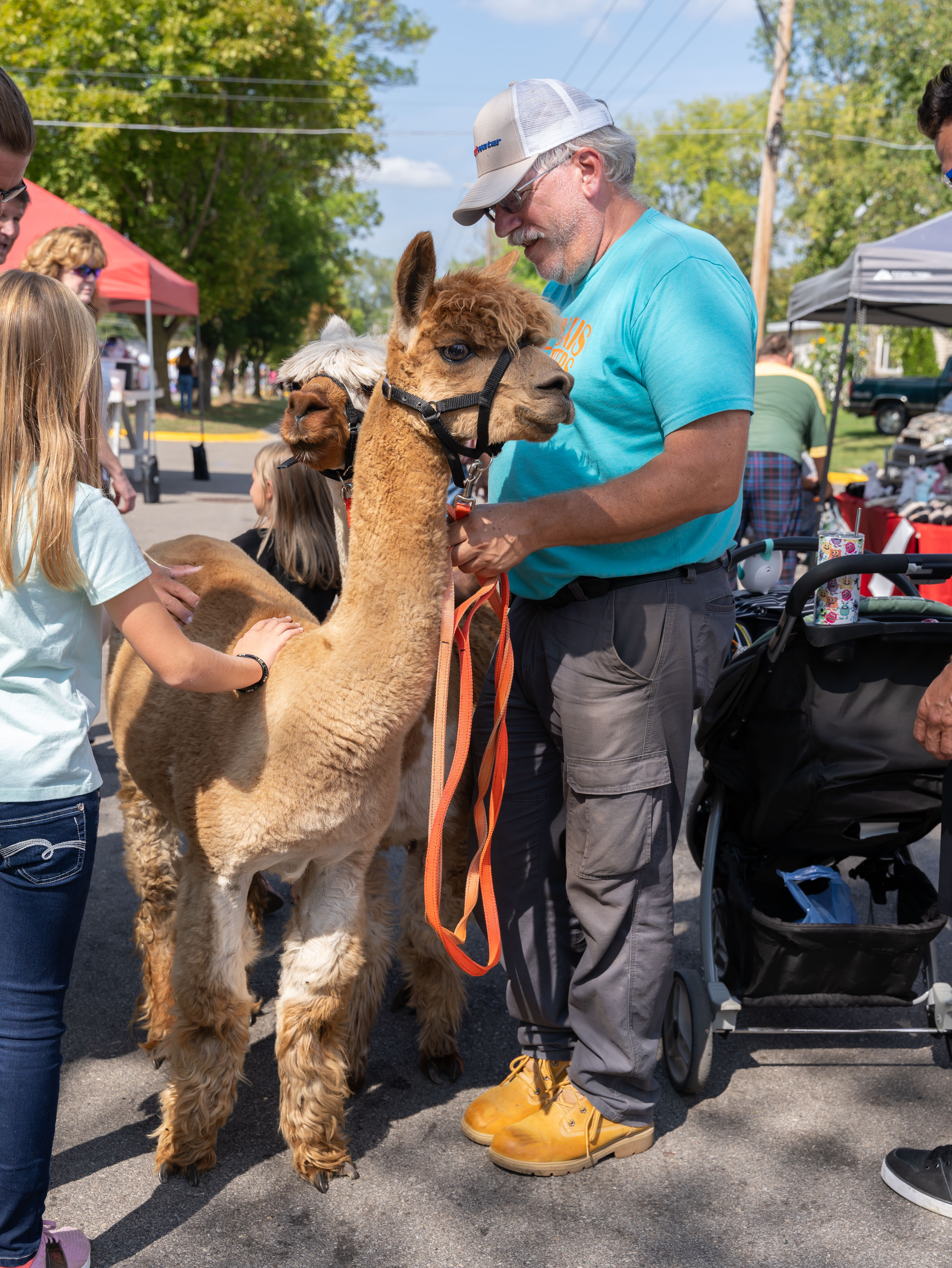 Head to the fun zone to check out the petting zoo, or visit with the alpacas