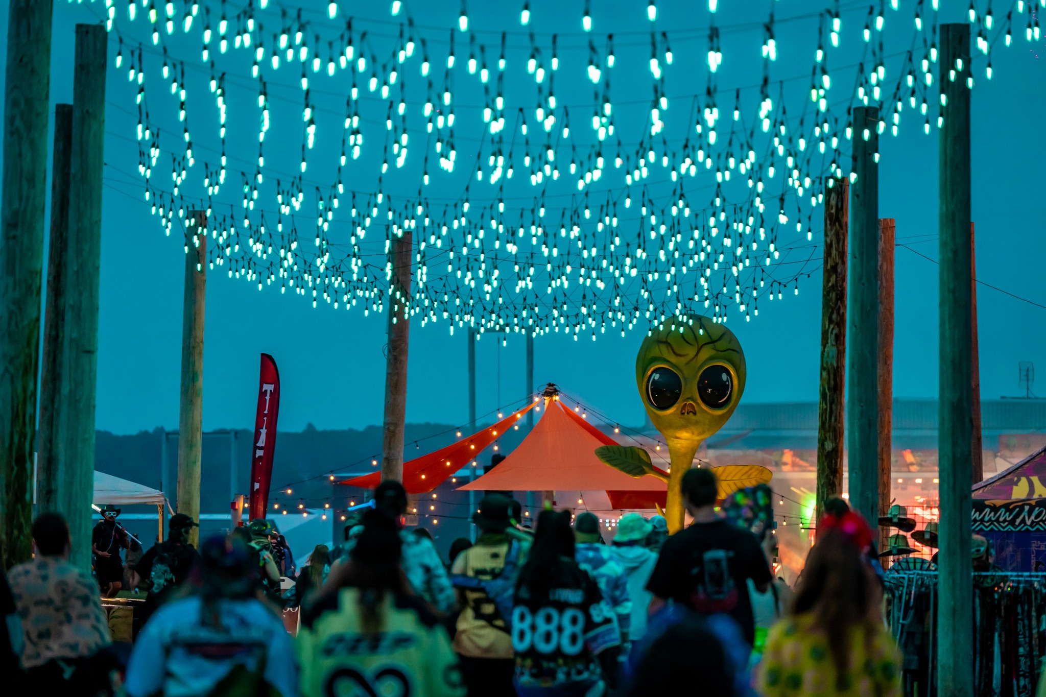 Force Fields, Cadott, WI